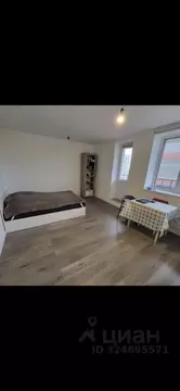 Студия Ленинградская область, Мурино Всеволожский район, ул. Шоссе в ...