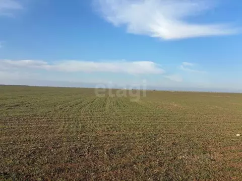 Участок в Крым, Бахчисарайский район, Песчановское с/пос, с. Береговое ...
