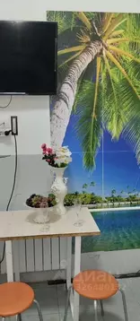 1-к кв. Московская область, Электроугли Богородский городской округ, ...