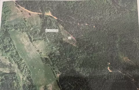 Участок в Псковская область, Гдовский район, Спицинская волость, д. ...