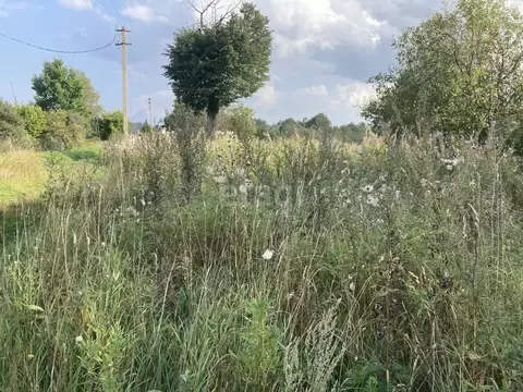 Участок в Костромская область, Костромской район, Кузнецовское с/пос, ...