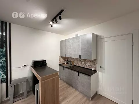 Студия Санкт-Петербург ул. Пахомовская, 18к1 (21.0 м)