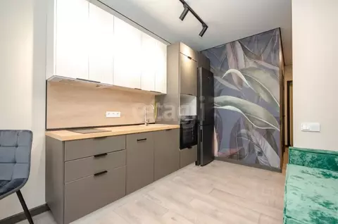 Студия Новосибирская область, Новосибирск ул. Державина, 50 (26.0 м)