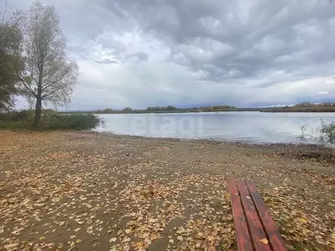 Дом в Саратовская область, Энгельсский район, Терновское муниципальное ...