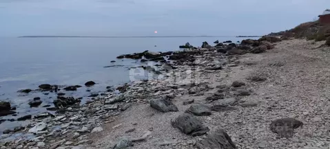 Участок в Крым, Ленинский район, Глазовское с/пос, с. Осовины  (80.0 ...