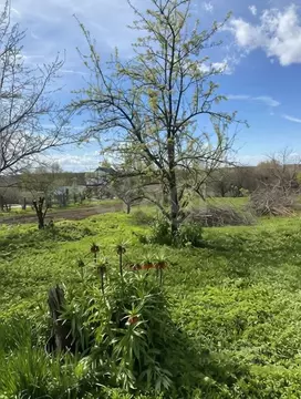 Участок в Ярославская область, Ярославский муниципальный округ, д. ...