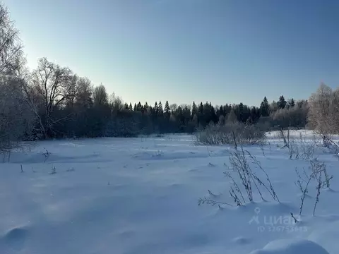 Участок в Московская область, Рузский муниципальный округ, д. Филатово ...