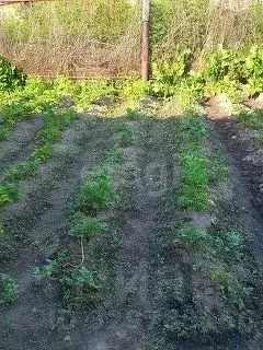 Участок в Тюменская область, Тобольский муниципальный округ, пос. ...