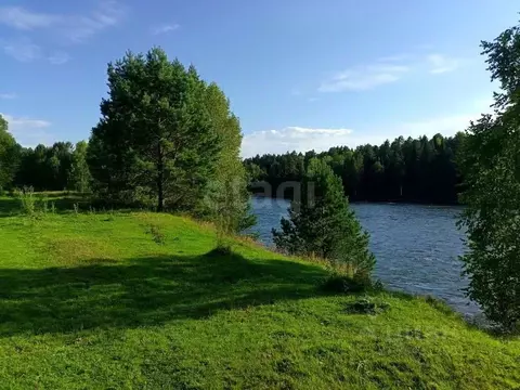 Участок в Алтай, Турочакский район, с. Тулой Центральная ул. (24.3 ...