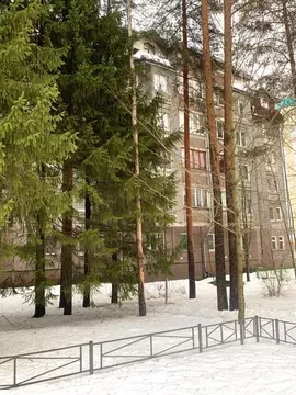 1-к кв. Ленинградская область, Сертолово Всеволожский район, Кленовая ...