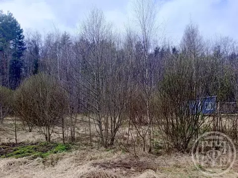 Участок в Ленинградская область, Выборгский район, Рощинское городское ...