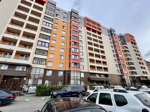 Студия Санкт-Петербург просп. Ветеранов, 175к4 (25.0 м)