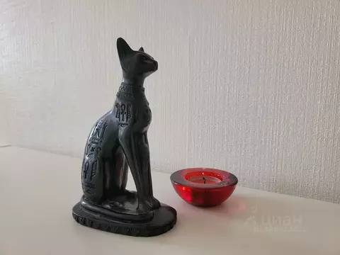 1-к кв. Санкт-Петербург Биржевая линия, 1/1Ж (41.3 м)