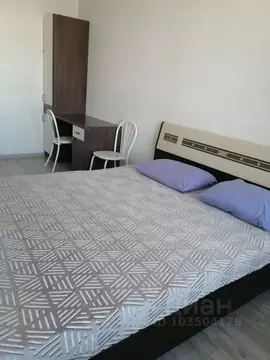 1-к кв. Алтайский край, Барнаул Промышленная ул., 4 (43.0 м)