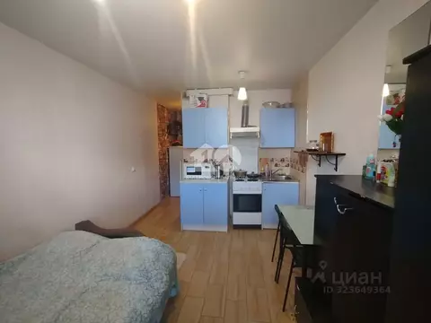 Студия Новосибирская область, Новосибирск ул. Виктора Уса, 9 (19.8 м)