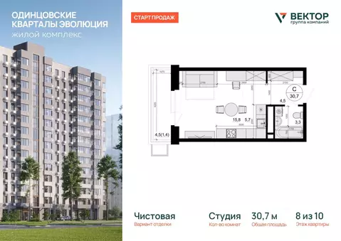 Студия Московская область, Одинцовский городской округ, д. Солманово, ...