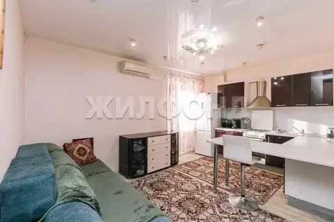 2-к кв. Новосибирская область, Новосибирск Вознесенская ул., 4 (42.2 ...