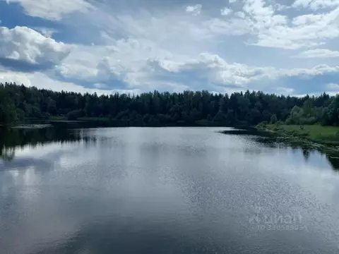 Участок в Московская область, Дмитровский муниципальный округ, д. ...