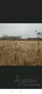 Участок в Пермский край, Краснокамский муниципальный округ, д. Большие ...