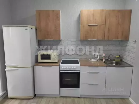 Студия Новосибирская область, Новосибирск ул. Титова, 254/1 (28.0 м)