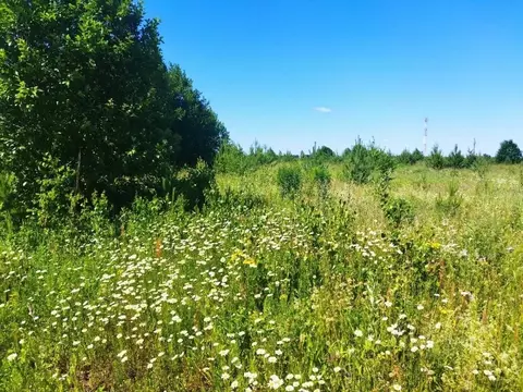 Участок в Тульская область, Ясногорский район, Иваньковское с/пос, ...