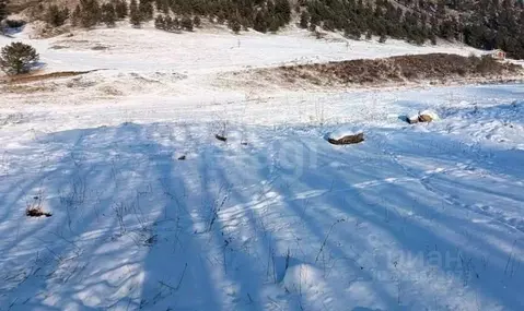 Участок в Алтайский край, Алтайский район, Айский сельсовет, с. Ая ул. ...