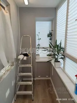 Студия Томская область, Томск Киевская ул., 1 (26.6 м)