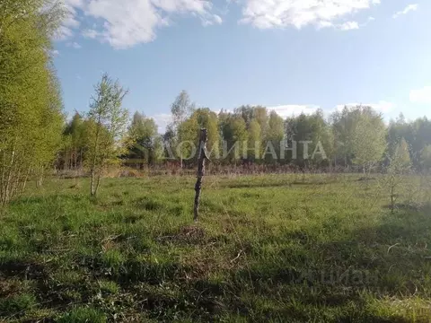 Участок в Смоленская область, Демидовский муниципальный округ, д. Плаи ...