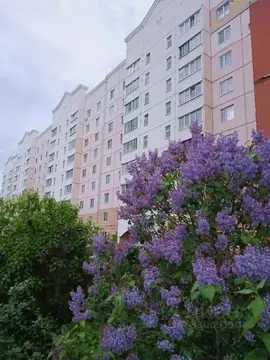1-к кв. Тверская область, Тверь Кольцевая ул., 82 (39.4 м)