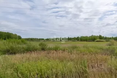 Участок в Тюменская область, Нижнетавдинский муниципальный округ, ...