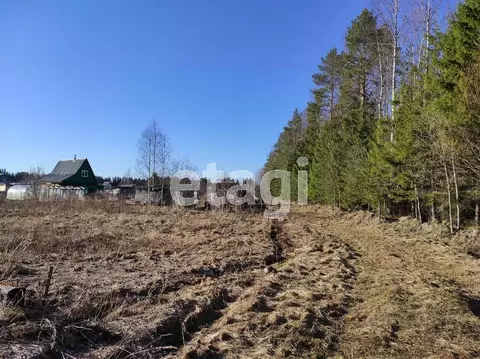 Участок в Архангельская область, Котласский муниципальный округ, СНТ ...