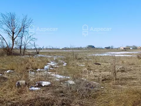 Участок в Волгоградская область, Волгоград ул. Прибойная (8.36 сот.)