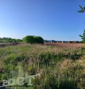 Участок в Приморский край, Артемовский городской округ, с. Кневичи ...