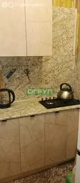 1-комнатная квартира: Пенза, Революционная улица, 45 (25 м)