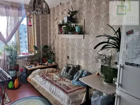 Комната Санкт-Петербург ул. Генерала Симоняка, 10 (14.5 м)