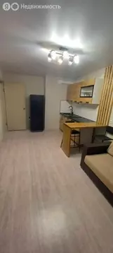 Квартира-студия: Ростов-на-Дону, улица Юрия Дубинина, 15 (26 м)