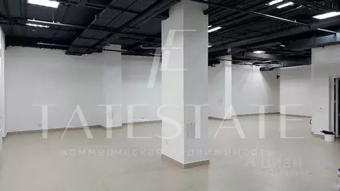 Офис в Татарстан, Казань Московская ул., 19/8 (176 м)