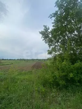 Участок в Калужская область, Малоярославецкий муниципальный округ, д. ...