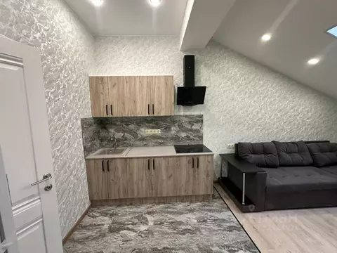 Студия Москва д. Марьино, ул. Жемчужная, 1к10 (19.7 м)