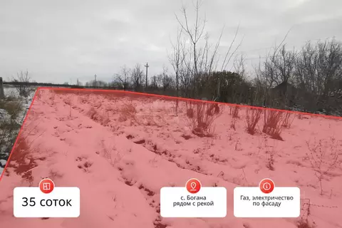 Участок в Воронежская область, Борисоглебский городской округ, с. ...