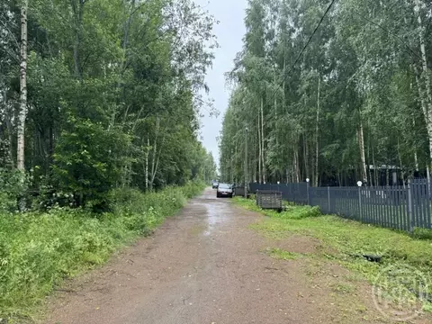 Участок в Ленинградская область, Ломоносовский район, Пениковское ...