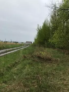 Участок в Татарстан, Пестречинский район, Конское с/пос, с. Конь  ...