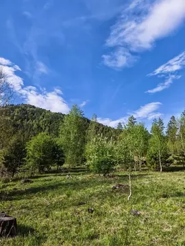 Участок в Алтай, Чемальский район, Узнезинское с/пос, с. Узнезя ул. ...