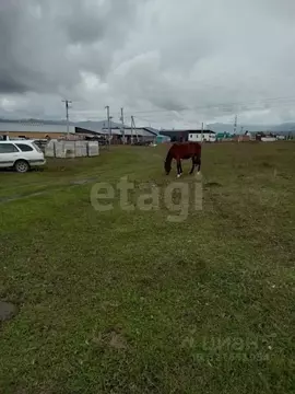 Участок в Алтай, Усть-Коксинский район, с. Усть-Кокса Советская ул. ...