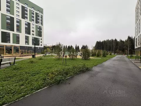 Студия Коми, Сыктывкар Петрозаводская ул., 47 (24.6 м)