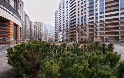 3-к кв. Санкт-Петербург Коломяжский просп., 13к3 (87.4 м)