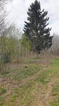 Участок в Ленинградская область, Кингисеппский район, Опольевское ...