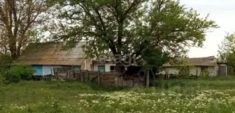 Дом в Крым, Раздольненский район, Березовское с/пос, с. Нива ул. ...