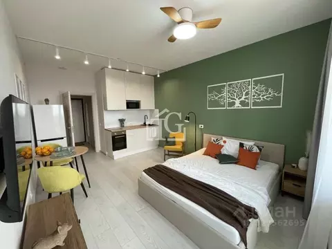 Студия Санкт-Петербург Фарфоровская ул., 7к2 (24.3 м)