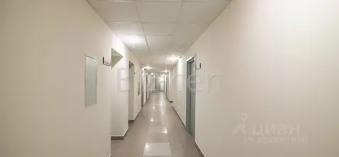 Офис в Санкт-Петербург ш. Революции, 69 (17 м)